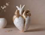 How to Heal a Broken Heart