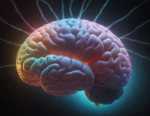 Neuroplasticity: How Our Brain Changes and Why It Matters