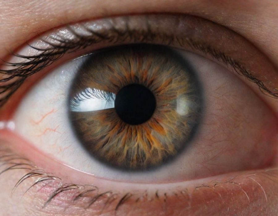 Is It Possible to Create Virtual Glasses and Heal Yourself?