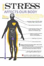 How Stress Affects Our Body
